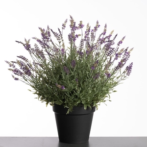 Af Lavender Pot H69cm Purple
