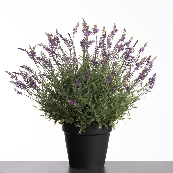 <h4>Af Lavender Pot H69cm Purple</h4>