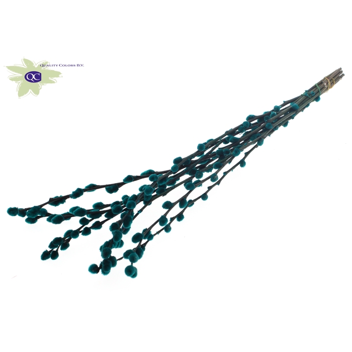 <h4>Pussy Willow 60cm Turquoise</h4>
