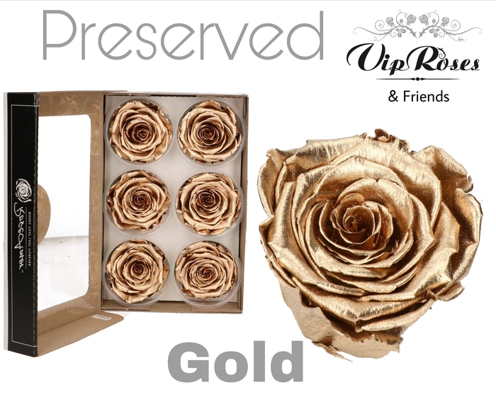 <h4>Preserved rosa gold</h4>