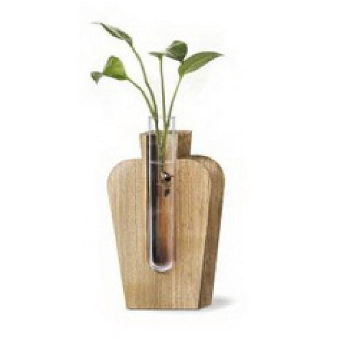Glass Vase+1tube d02*12.5cm