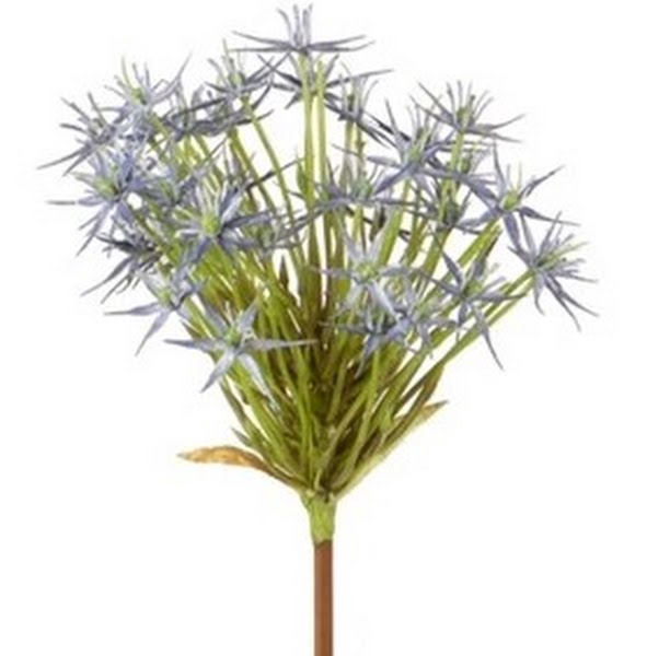 Allium Blue