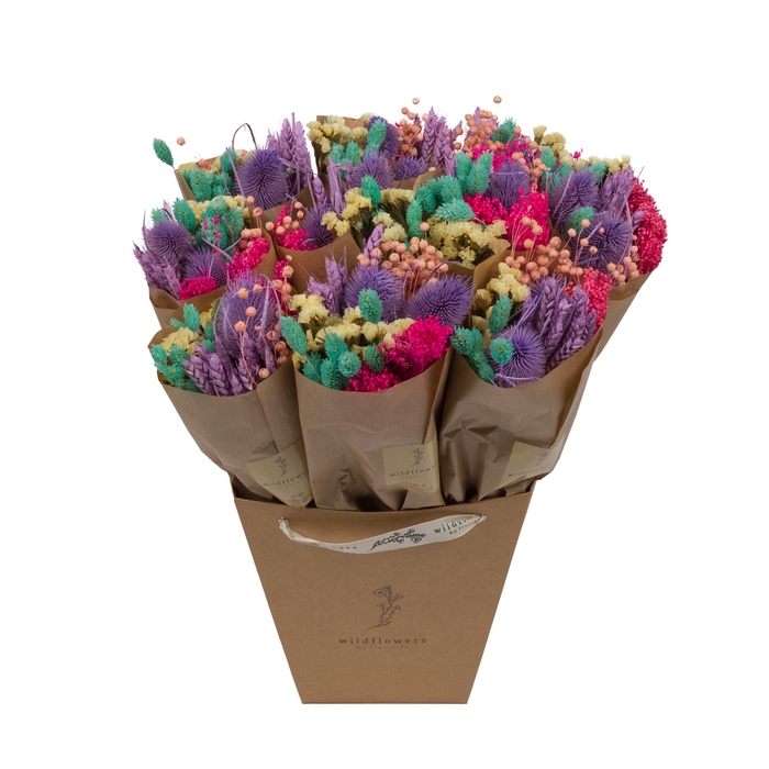 <h4>Dried Bouquet Field Rainbow Market</h4>