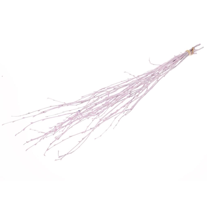 Birch 60cm 10pc lilac misty