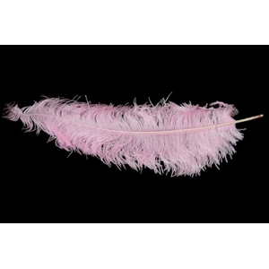 Feather ostrich light pink 5st/bunch