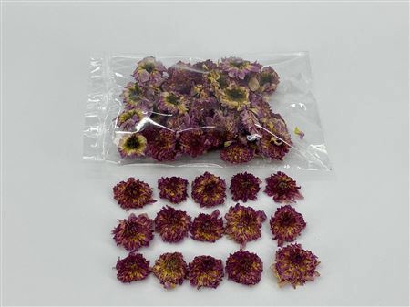 <h4>Dried Dahlia Heads Lilac Bag (50-60 Heads)</h4>