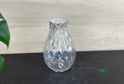 GLASS VASE CLEAR 20,5*12*H12