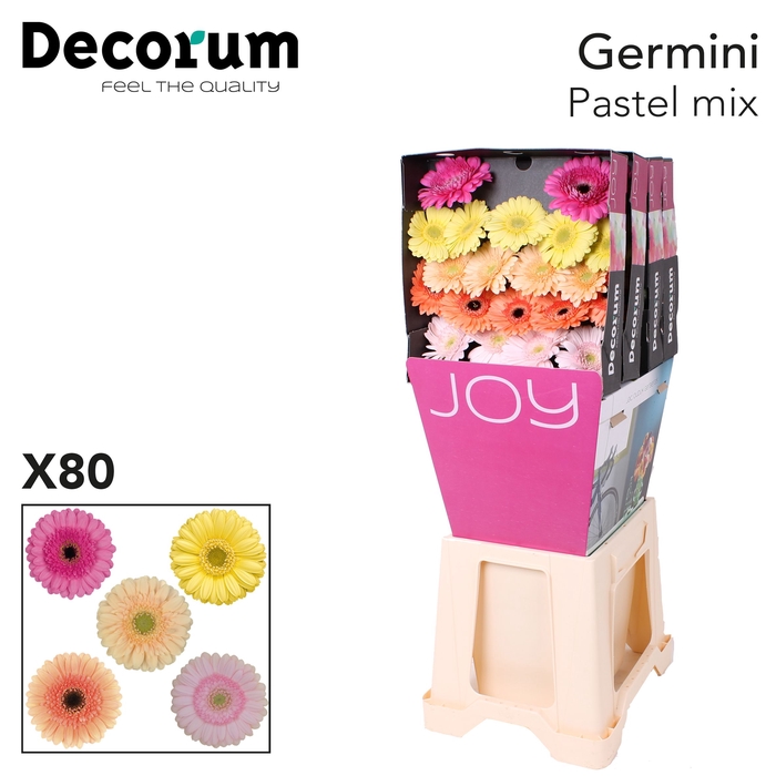 <h4>Germini Mix Pastel Diamond</h4>