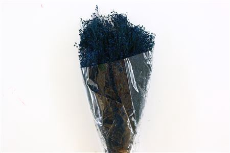 <h4>Dried Brooms Dark Blue Bunch</h4>