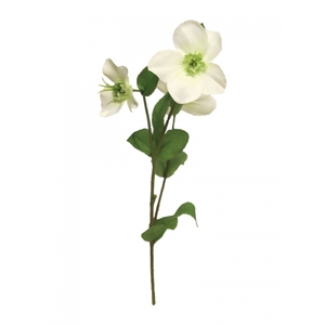 SILK FLOWERS - HELLEBORUS MONICA WHITE 40CM