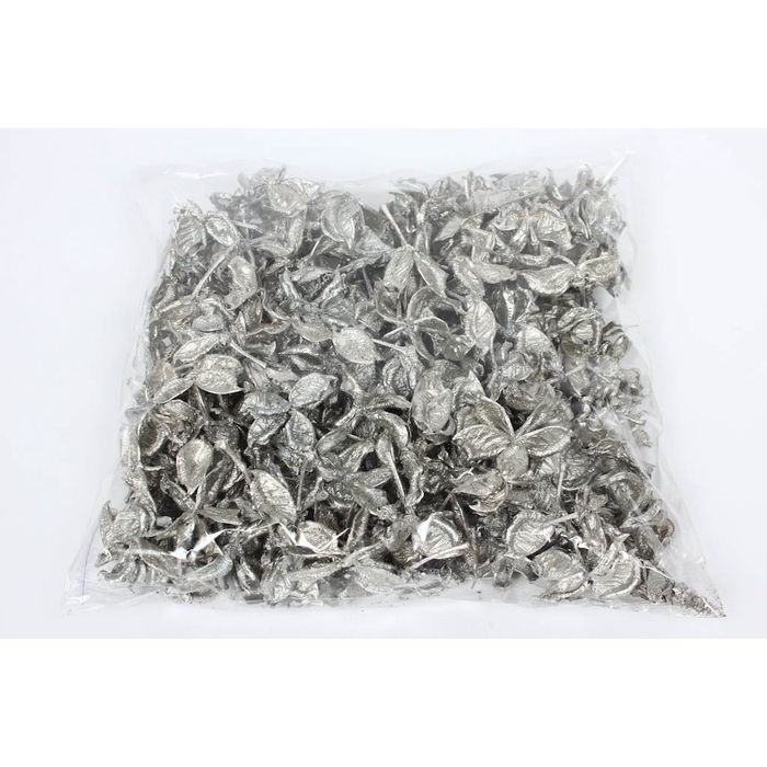 <h4>Cotton pods 250gr in poly Platina</h4>