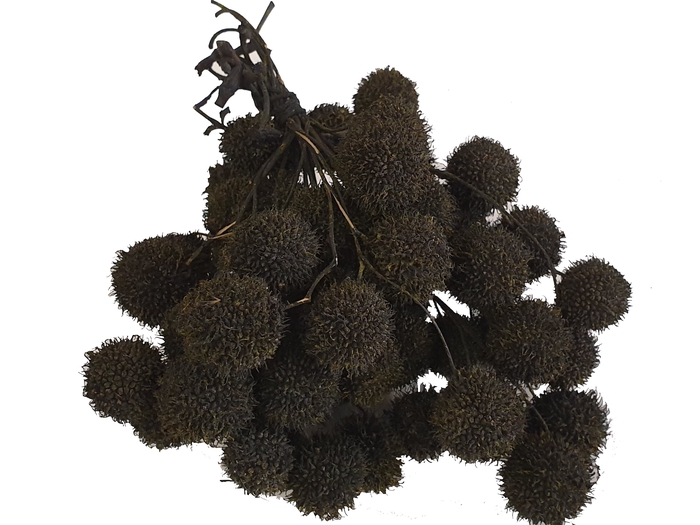 <h4>Small ball per bunch in poly black</h4>