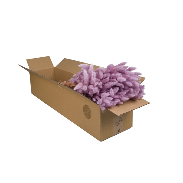 <h4>Droogbloemen-Lagurus Lilac Pastel</h4>