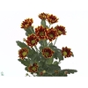 Chrysanthemum spray kastelli (R. OPORTO)