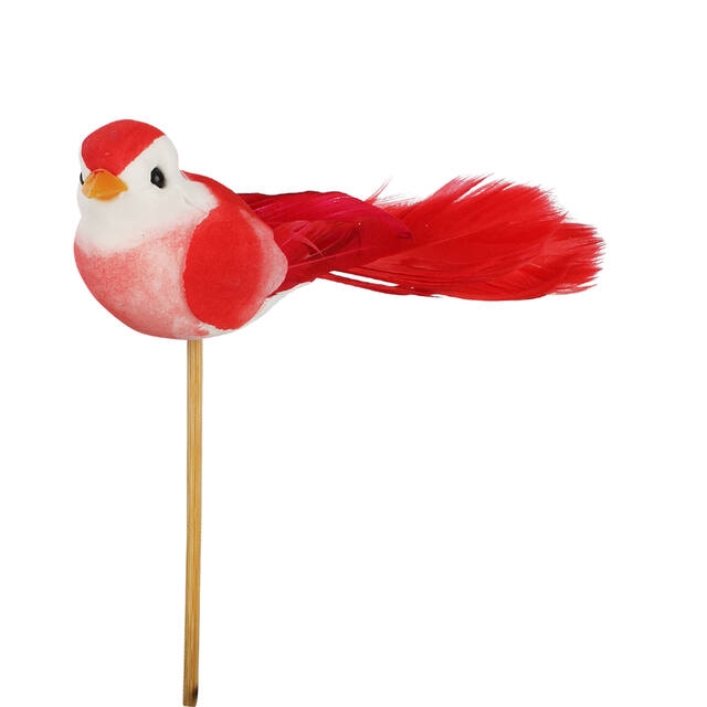Pick bird Pájaro 11x4cm + 12cm stick red