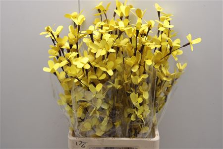 <h4>Butterfly Flower Yellow</h4>