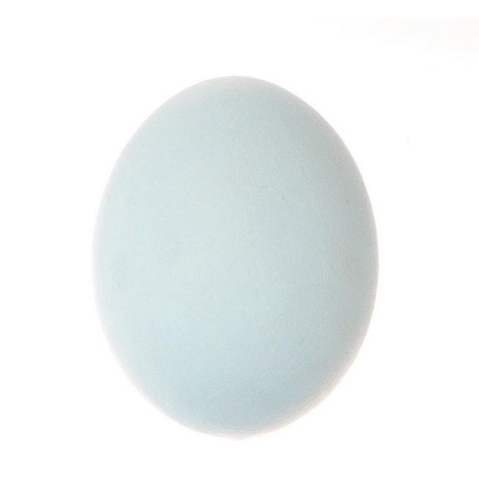 <h4>Sale Easter Egg Ostrich d11*16cm plastic</h4>