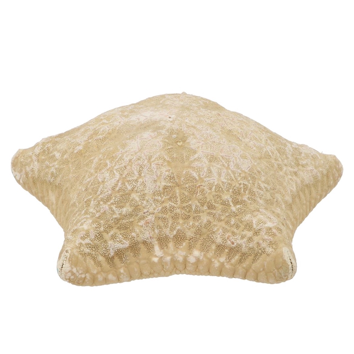 <h4>Schelp Starfish Natural Pillow 20-25cm</h4>