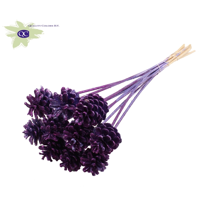 <h4>Pine cone 5-7cm on stem Metallic Purple + Glitter</h4>