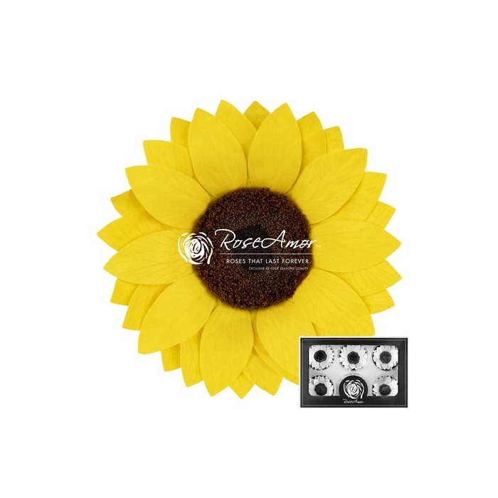 <h4>Sunflower Xl Yel02</h4>