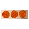 Rose Monalisa Orange
