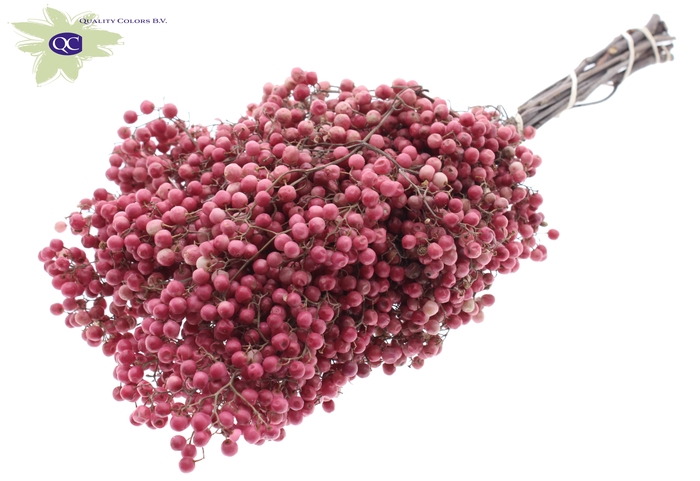 <h4>Pepperberries per bunch in poly natural</h4>