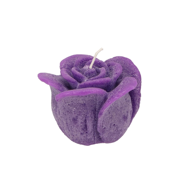<h4>Candle Roos Purple 8x7cm</h4>