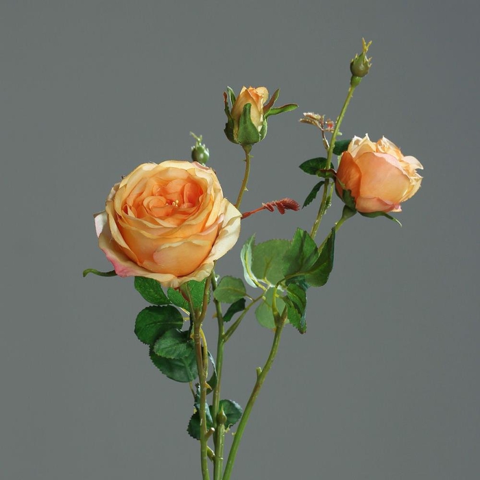 <h4>Af Rose X2 With Bud L60cm Yell</h4>