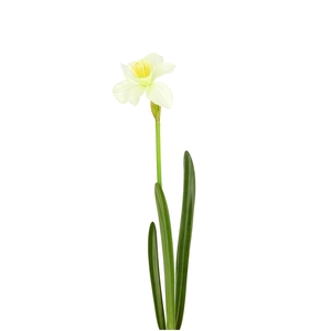 Artificial flowers Narcissus 57cm