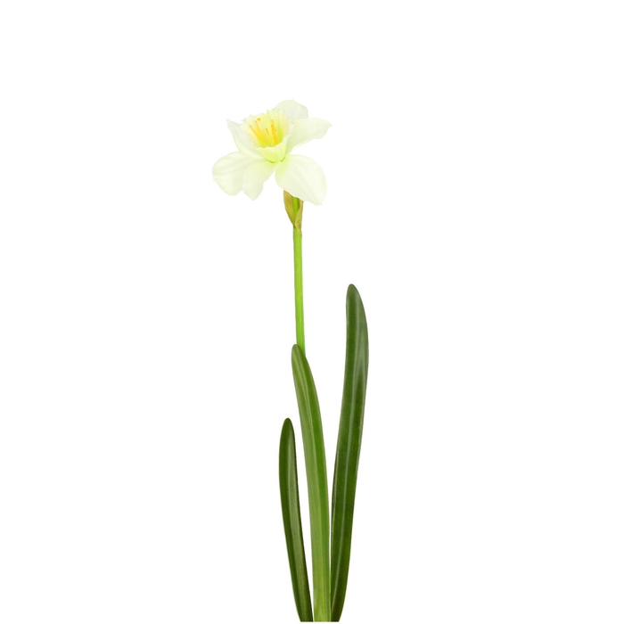 <h4>Kunstbloemen Narcissus 57cm</h4>