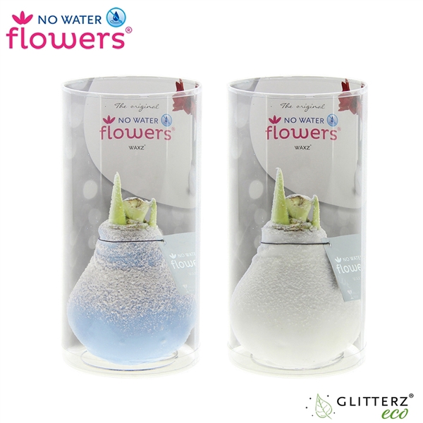 <h4>No Water Flowers® Frozen mix in Koker</h4>