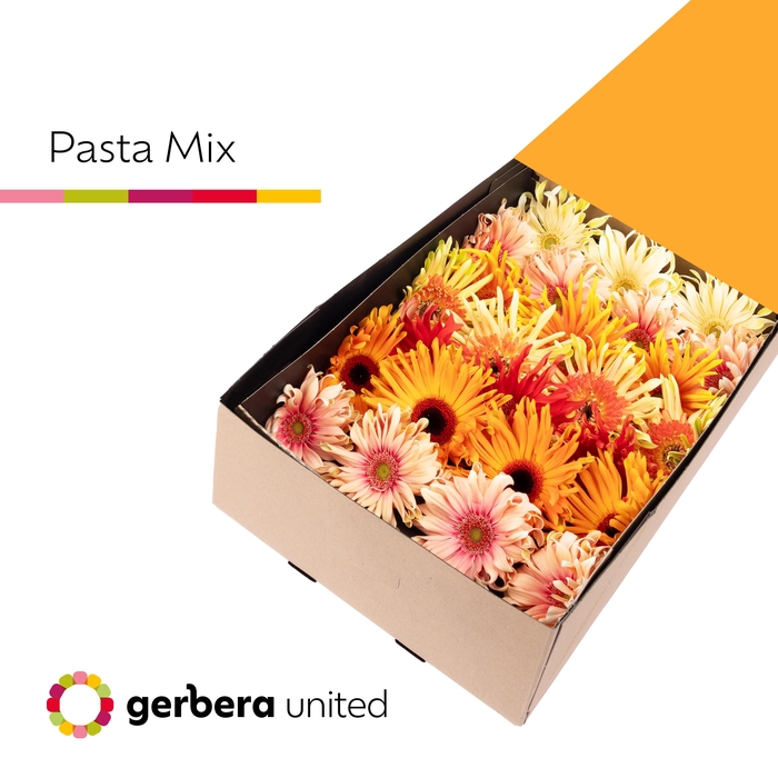 <h4>Ge Gr Pasta Mix</h4>