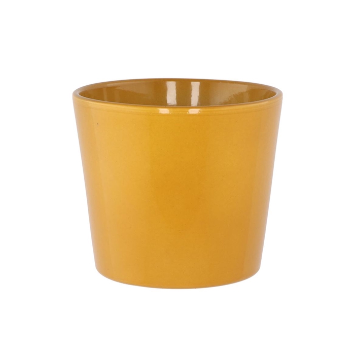 <h4>Ceramic Pot Curry Shiny 15cm</h4>
