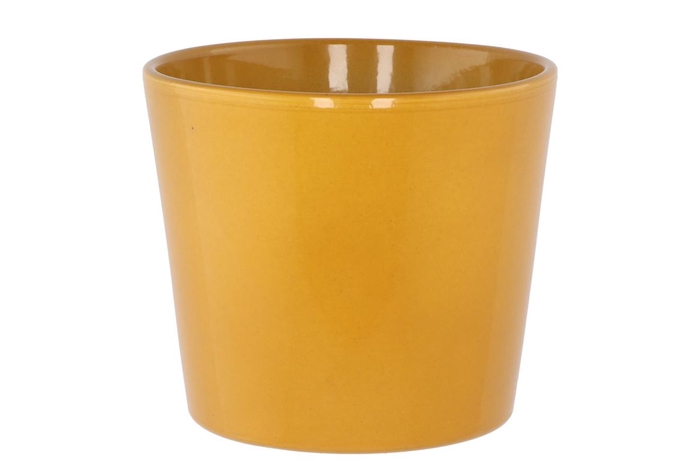 Ceramic Pot Curry Shiny 15cm
