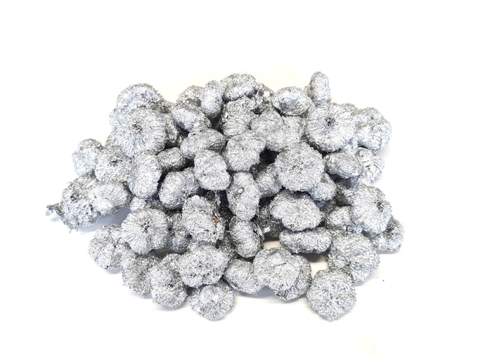 <h4>Paras peepal 500gr in poly silver</h4>