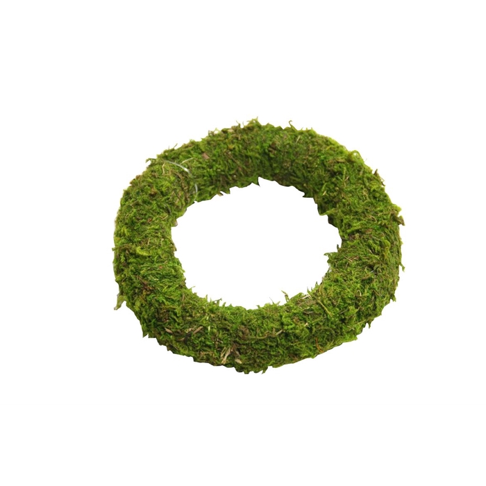 <h4>Wreath Asia Moss D20</h4>