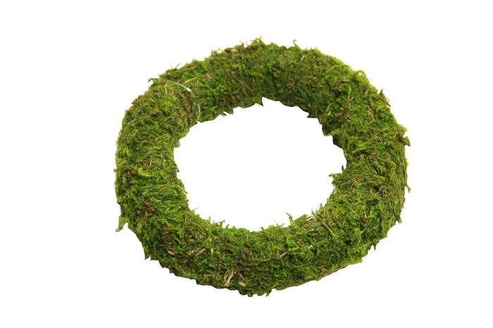 <h4>Wreath Asia Moss D20</h4>