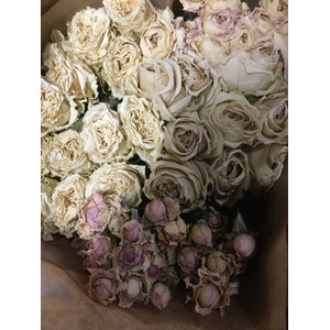 DRIED FLOWERS - ROSES LIGHT VINTAGE MIX