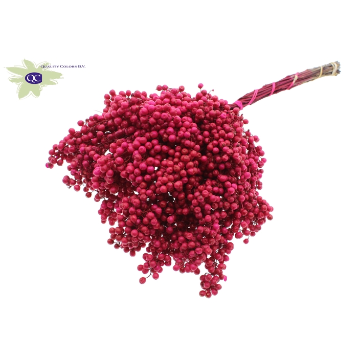 <h4>Pepperberries per bunch in poly Cerise</h4>