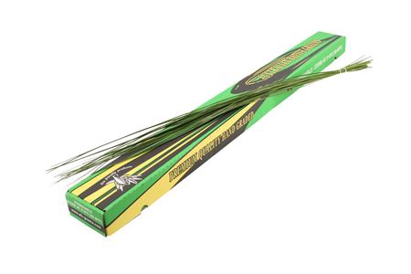 <h4>SPEARGRASS EXTRA 120</h4>
