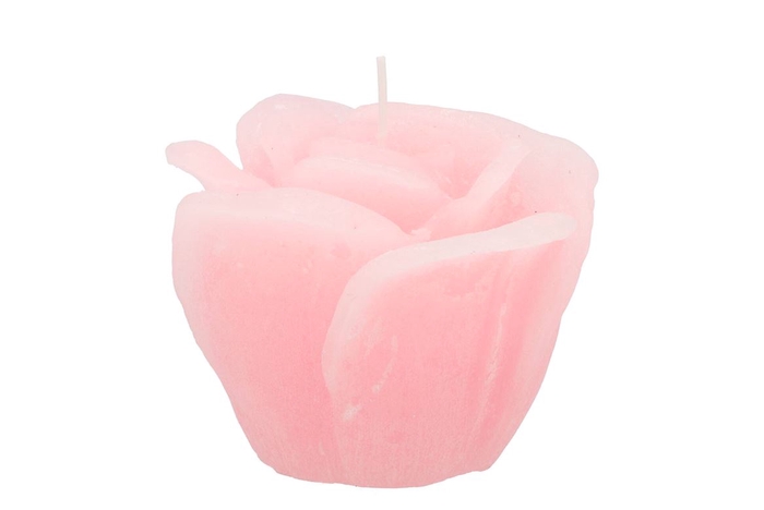 <h4>Candle Rose White Pink 11x9cm</h4>