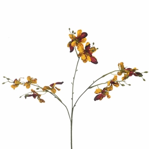 Af Orchid Oncidium 61cm Yellow