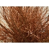 Heidelbeer Copper