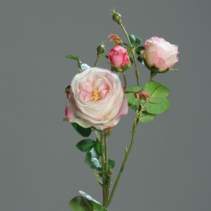 Af Rose X2 Bud 60cm Pink/white