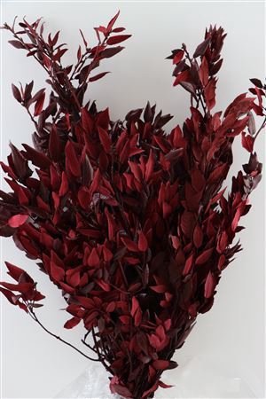 <h4>Pres Oak Red 1kg Bunch Poly</h4>