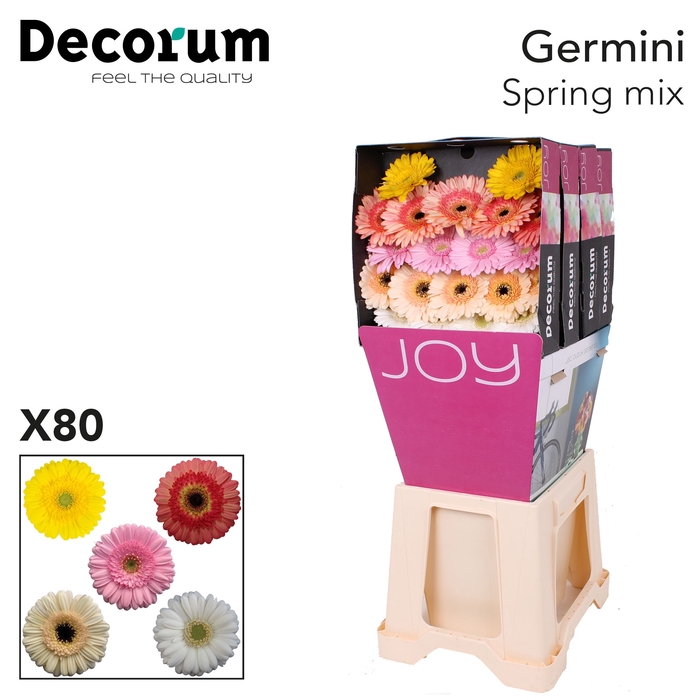 <h4>Germini Mix Spring Diamond</h4>