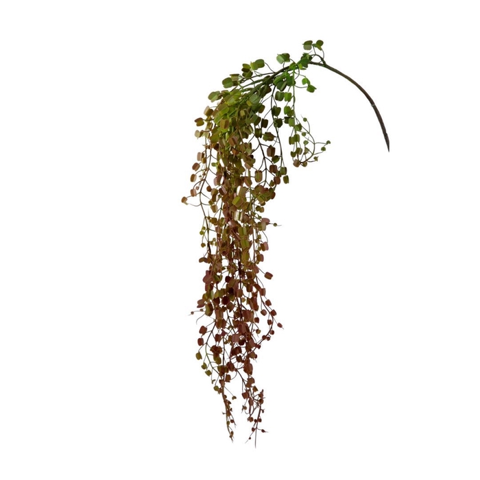 Kunstplanten Muehlenbeckia 82cm