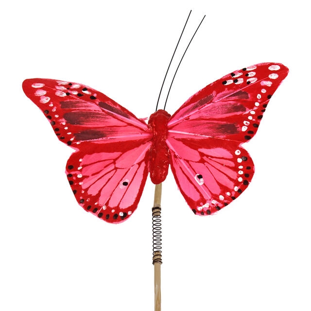 <h4>Bijsteker Papillon 6x11cm + 50cm stok rood</h4>