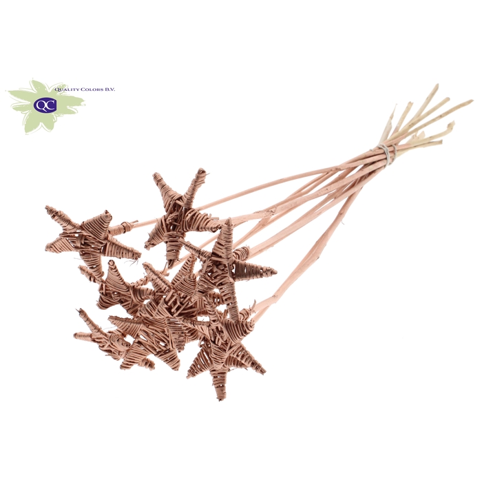 <h4>Lata Star on stem Copper</h4>