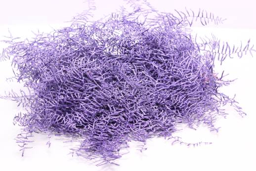 Coralfern preserved 10st per bunch Metallic Purple